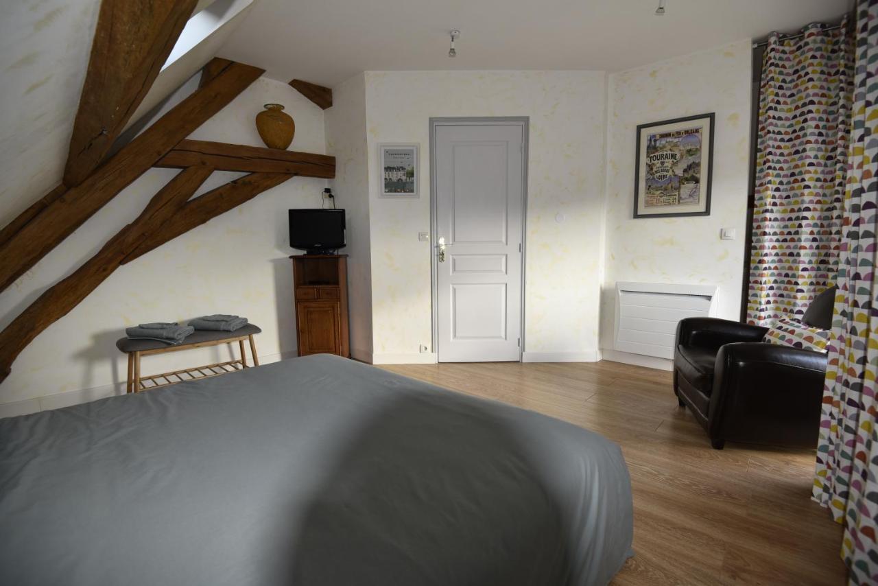 Chambres D'Hotes L'Hermine Vineuil 维讷伊 外观 照片
