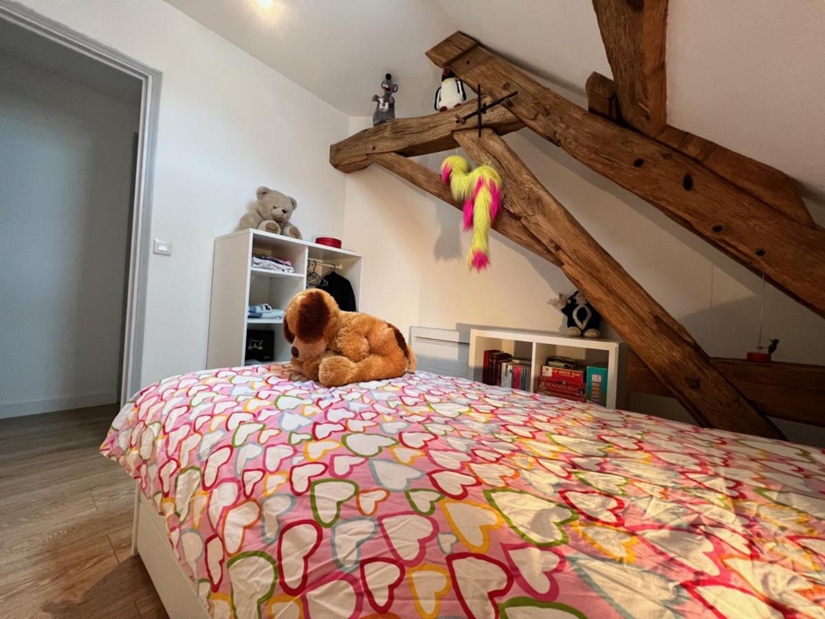 Chambres D'Hotes L'Hermine Vineuil 维讷伊 外观 照片